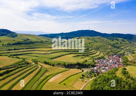 Deutschland, Baden-Württemberg, Vogtsburg, Luftaufnahme des Landdorfes umgeben von terrassenförmig angelegten Kaiserstuhl-Hügeln Stockfoto