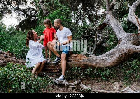 Familie entspannen auf gefallenen Baum im Wald Stockfoto