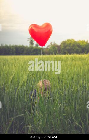 Kleiner Junge mit roten herzförmigen Ballon versteckt in einem Feld Stockfoto