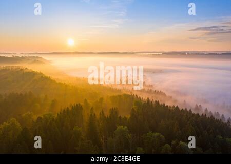 Deutschland, Bayern, Icking, Drohne Blick auf den Wald bei nebligen Sonnenaufgang Stockfoto