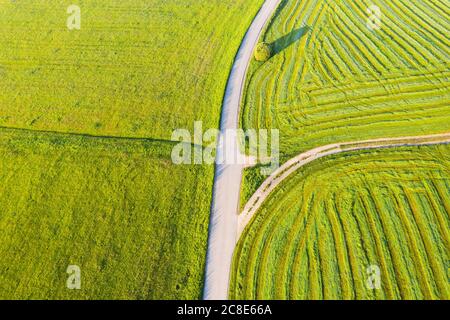 Deutschland, Bayern, Icking, Drohne Blick auf Landstraße zwischen grünen Feldern Stockfoto