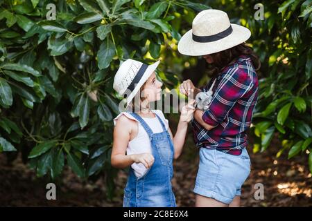 Mutter und Tochter streicheln Kaninchen im Garten Stockfoto