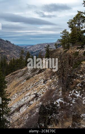 Blue Mountains, Umatilla National Forest, WA Stockfoto