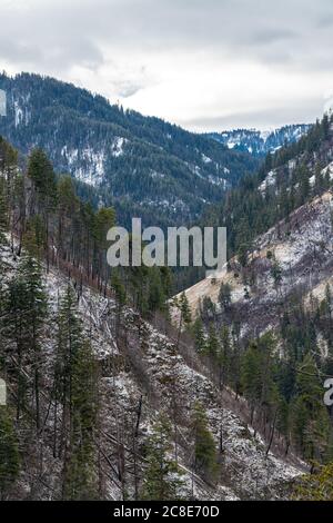 Blue Mountains, Umatilla National Forest, WA Stockfoto