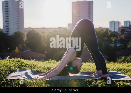 Junge Frau, die Yoga in nach unten schauenden Hund Position an Stadtpark Stockfoto