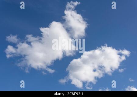 Weiße Cumulus Wolken gegen blauen Himmel, Stanwell Moor, Surrey, England, Vereinigtes Königreich Stockfoto