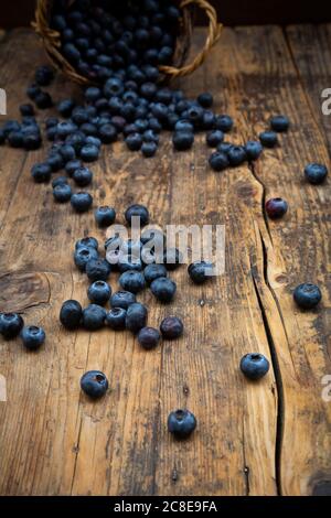 Frische Heidelbeeren auf Holztisch Stockfoto