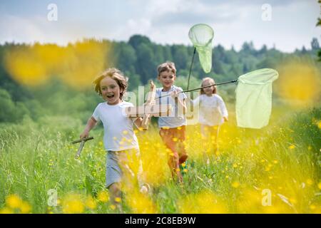 Unbeschwerte Freunde mit Modellflugzeug und Schmetterlingsnetzen laufen auf Grasland im Wald Stockfoto