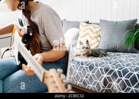 Yorkshire Terrier liegt auf dem Sofa, während eine Frau Gitarre spielt Zu Hause Stockfoto