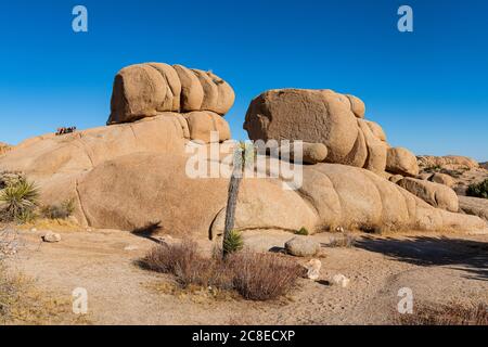 USA, Kalifornien, Felsformationen im Joshua Tree Nationalpark Stockfoto