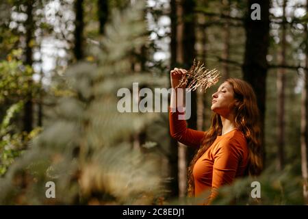 Junge Frau mit geschlossenen Augen hält Pflanze beim Stehen gegen Bäume im Wald Stockfoto