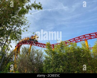 Orlando, FL/USA-11/27/19: Slinky Dog Dash Achterbahnfahrt im Hollywood Studios Park in Walt Disney World in Orlando, FL. Stockfoto