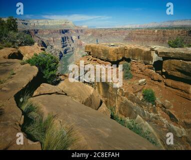 Grand Canyon National Park AZ/MAY EIN Besucher ist beeindruckt von der Aussicht, die vom Toroweap Point nach Osten über den Colorado River blickt. Stockfoto