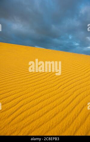 Dunkle Wolken von Sturmfront nähern sich Wüstensanddüne im Outback Australien, mit feinen Linienmuster und Textur als Kopierraum, Hintergrund und Backgroun Stockfoto