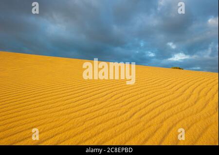 Dunkle Wolken von Sturmfront nähern sich Wüstensanddüne im Outback Australien, mit feinen Linienmuster und Textur als Kopierraum, Hintergrund und Backgroun Stockfoto