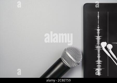 Podcast-Aufzeichnung. Mikrofon und Tonspur. Grau monochrom Stockfoto
