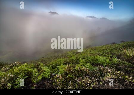 Die Landschaft des Brocken Spectre Effekts erscheint auf dem Nebel am Kawah Ijen in Java, Indonesien. Stockfoto