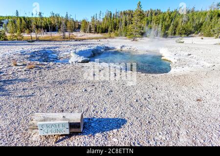 Heißer Dampf steigt von der Crater Spring im Norris Geyser Basin im Yellowstone National Park, Wyoming, USA Stockfoto