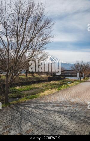 Die Landschaft des Fuji-Berges an einem bewölkten Tag mit dem Schatten des Baumes Vordergrund am Kawaguchiko See in Yamanashi, Japan. Stockfoto