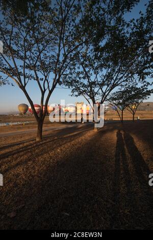 Die Landschaft der Ballons mit einem Schatten von Baumzweig Vordergrund im Singha Park in Chiang Rai, Thailand. Stockfoto