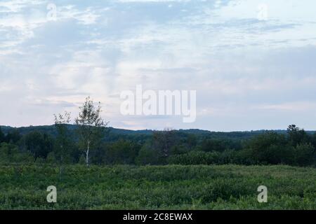 Weiche Wolken und grüne Landschaft Stockfoto
