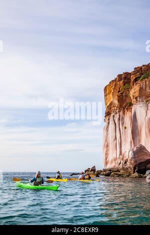 Eine geführte Kajakfahrt auf der Isla Espirito Santo, Golf von Kalifornien, BCS, Mexiko, vor der Küste unter den hohen Sandsteinklippen. Stockfoto