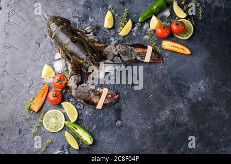 Frischer Hummer, Eis, Gemüse, Limette, Zweige von Razmarin, dunkle Optik. Ein dunkler Hintergrund, ein Ort für Text. Meeresfrüchte gesunde Lebensmittel Stockfoto