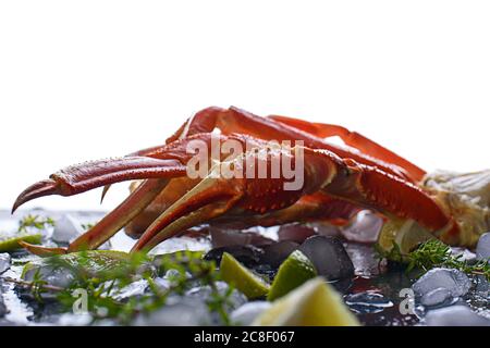 Frische Krabbenkrallen, Limette, Gewürze, Gewürze, Eis, Garnelen, Gemüse auf hellem Hintergrund. Köstliche Meeresfrüchte, gesunde Ernährung Diät-Inhalt Stockfoto