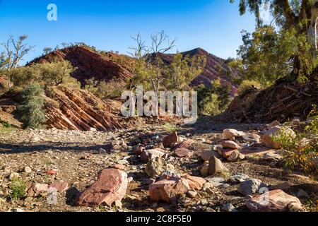 Brachina Gorge, Flinders Ranges National Park, Australien Stockfoto