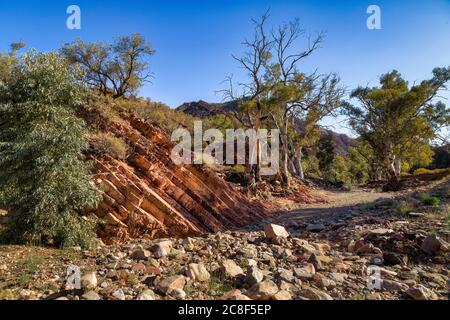 Brachina Gorge, Flinders Ranges National Park, Australien Stockfoto