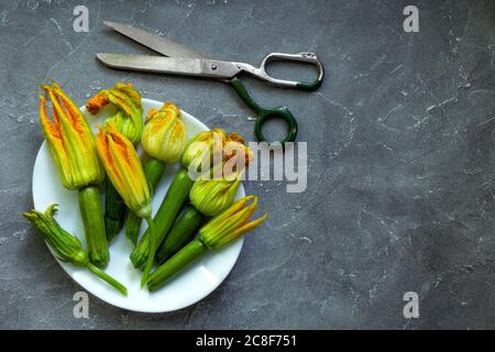 Zucchini Blumen und Schere auf dem grauen Hintergrund. Flach liegend, Kopierplatz Stockfoto