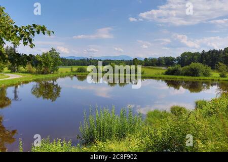 Bernried, Deutschland. Juli 2020. Bernried, Deutschland 21. Juli 2020: Impressionen Sommer - 2020 Nussberger Weiher, Teichgruppe aus mehreren Teichen und Fischzucht im Landkreis Weilheim Schongau bei Bernried Quelle: dpa/Alamy Live News Stockfoto