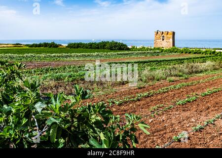 Kloster und Boote umrahmen die Bucht von San Vito. Stockfoto