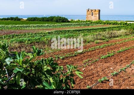 Kloster und Boote umrahmen die Bucht von San Vito. Stockfoto