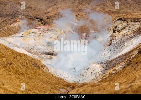 Dampfquellen aus den Ketetahi Hot Springs, Tongariro National Park, Neuseeland Stockfoto