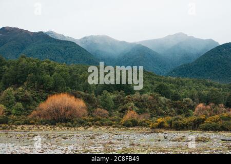 Der Ahaura River an einem bewölkten Tag an der Westküste der Südinsel, Neuseeland Stockfoto