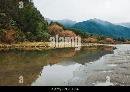 Der Ahaura River an einem bewölkten Tag an der Westküste der Südinsel, Neuseeland Stockfoto