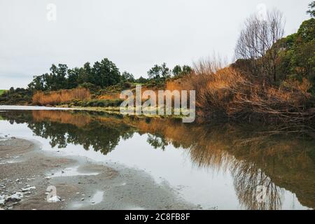 Der Ahaura River an einem bewölkten Tag an der Westküste der Südinsel, Neuseeland Stockfoto