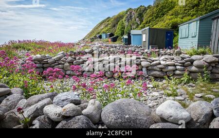 Strandhütten und Steingärten mit Kopfsteinpflaster am Strand In Church Ope Cove auf der Isle of Portland Dorset UK Stockfoto