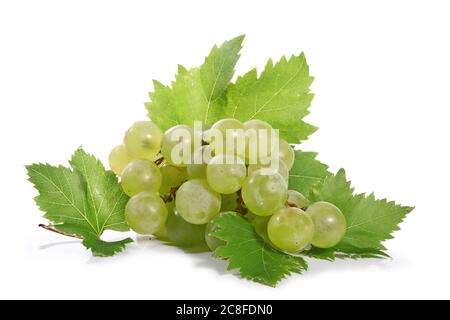 grüne Traube isoliert auf weißem Hintergrund Stockfoto