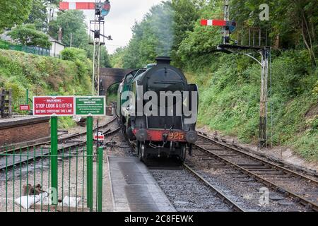 925 Schulen der südlichen Region Klasse ‘Cheltenham’, nähert sich Alresford Station auf der Mid-Hants Steam Railway (die Watercress Line), Hampshire, England Stockfoto