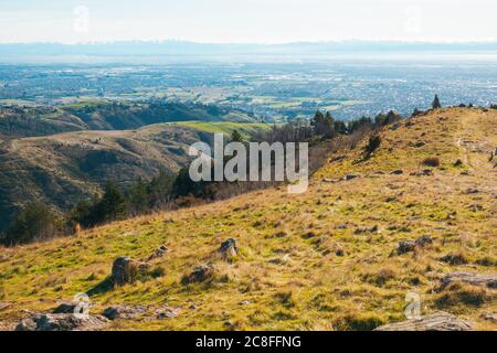 Der Blick über die Stadt Christchurch vom Thomson Scenic Reserve, Port Hills, Neuseeland Stockfoto