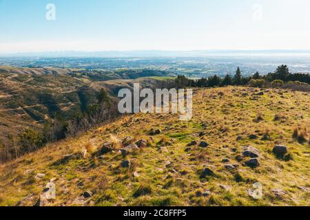 Der Blick über die Stadt Christchurch vom Thomson Scenic Reserve, Port Hills, Neuseeland Stockfoto