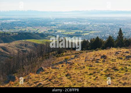 Der Blick über die Stadt Christchurch vom Thomson Scenic Reserve, Port Hills, Neuseeland Stockfoto