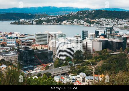 Downtown Wellington vom Northern Walk im Te Ahumairangi Hill Reserve aus gesehen Stockfoto