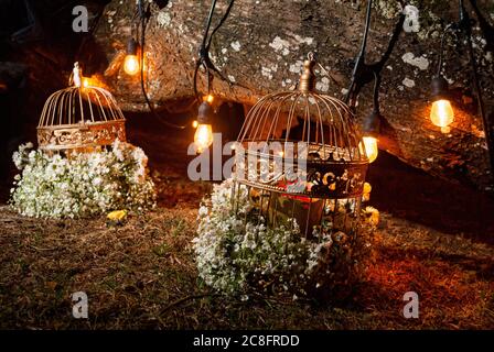 Nachtblumen Anordnung, ausgesetzt im Freien durch künstliches Licht umgeben, Käfige auf dem Boden platziert. Stockfoto