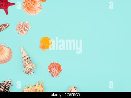 Sea pattern, top view, flat lay. Summer concept. Different sea shells and starfish pattern on light blue background. Stockfoto