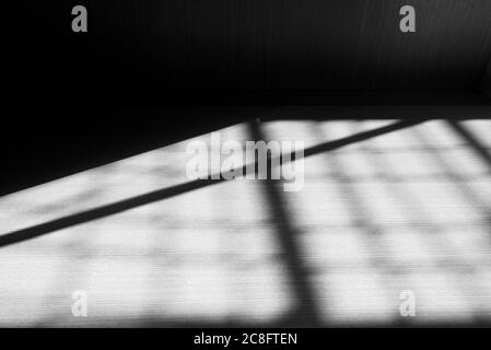 Schwarze abstrakte Linien, Schatten an der Holzwand, Boden Stockfoto