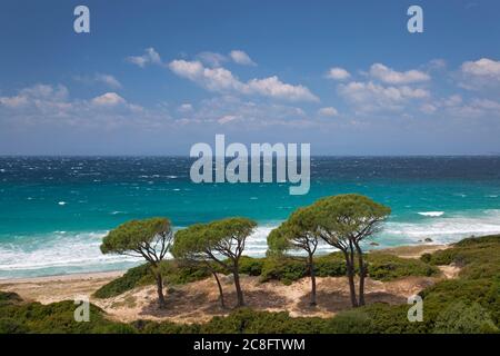 Geographie / Reisen, Italien, Sardinien, Torre dent Termin, Additional-Rights-Clearance-Info-not-available Stockfoto