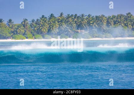 Tropische Insel mit Wellen plantschen. Tropisches Meer, Palmen und blauer Himmel Stockfoto